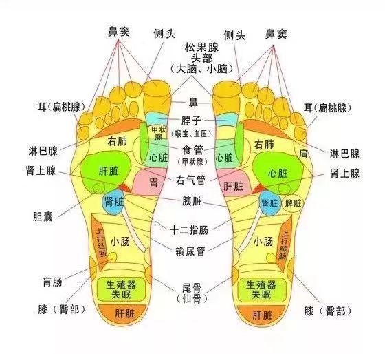 cbdf7b1237a1b666153cc89e624344d.jpg